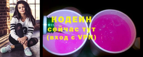 хмурый Заводоуковск