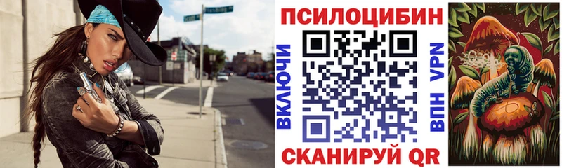 Купить  Томари  Псилоцибиновые грибы Cubensis 